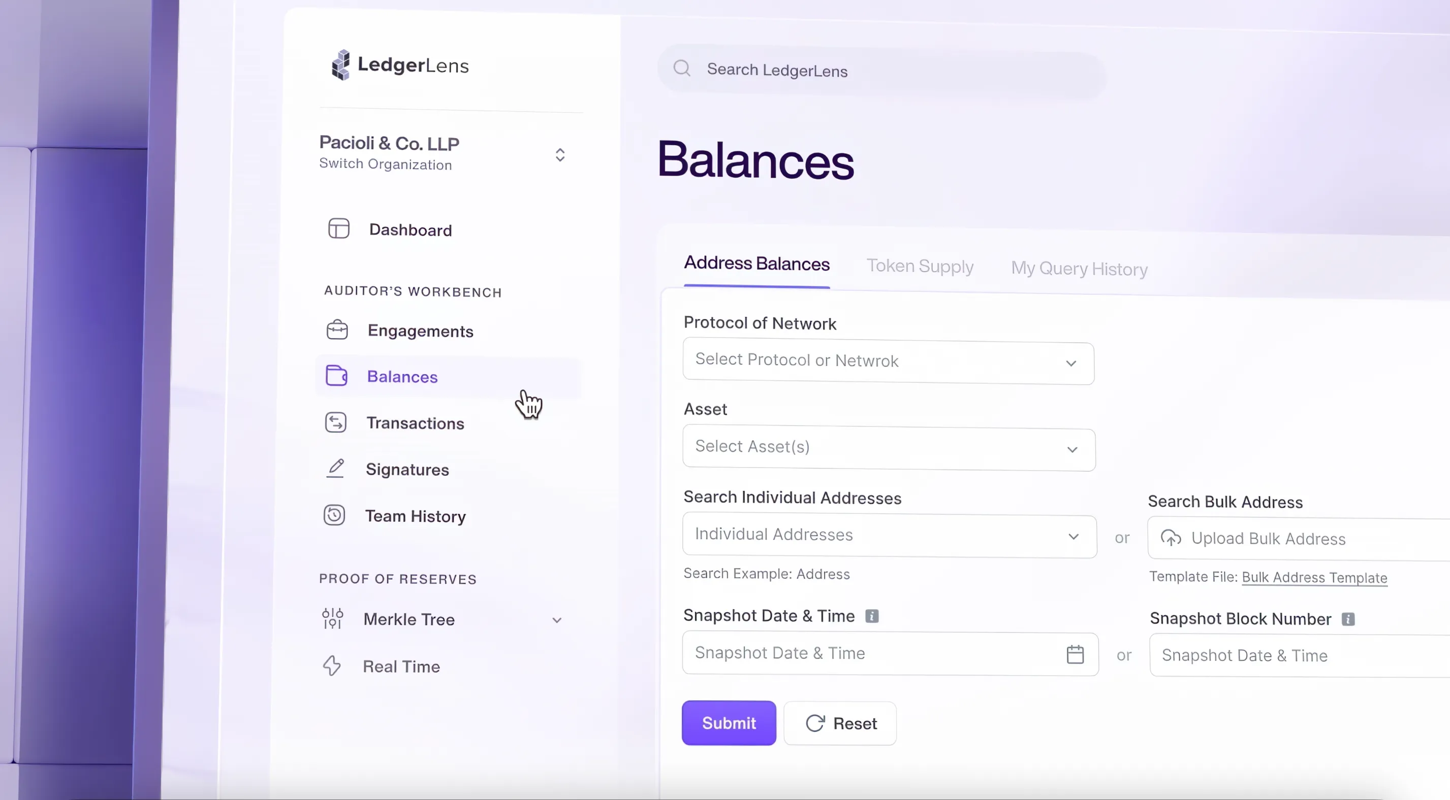 LedgerLens Balances Dashboard Interface